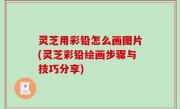 灵芝用彩铅怎么画图片(灵芝彩铅绘画步骤与技巧分享)