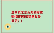 盆景灵芝怎么卖的好些呢(如何有效销售盆景灵芝？)
