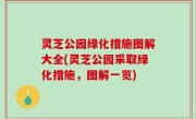 灵芝公园绿化措施图解大全(灵芝公园采取绿化措施，图解一览)