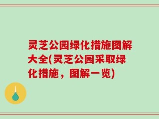 灵芝公园绿化措施图解大全(灵芝公园采取绿化措施，图解一览)