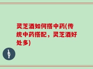 灵芝酒如何搭中药(传统中药搭配，灵芝酒好处多)