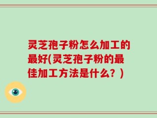 灵芝孢子粉怎么加工的最好(灵芝孢子粉的最佳加工方法是什么？)
