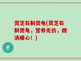 灵芝石斛煲龟(灵芝石斛煲龟，营养无价，靓汤暖心！)