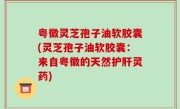 粤徽灵芝孢子油软胶囊(灵芝孢子油软胶囊：来自粤徽的天然护肝灵药)