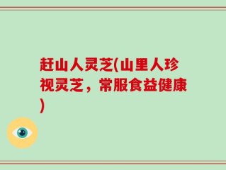 赶山人灵芝(山里人珍视灵芝，常服食益健康)