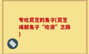 专吃灵芝的兔子(灵芝成就兔子“吃货”之路)