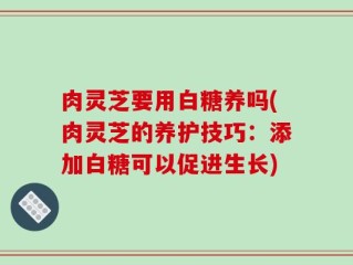 肉灵芝要用白糖养吗(肉灵芝的养护技巧：添加白糖可以促进生长)