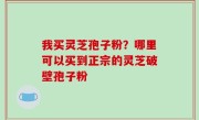 我买灵芝孢子粉？哪里可以买到正宗的灵芝破壁孢子粉