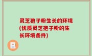 灵芝孢子粉生长的环境(优质灵芝孢子粉的生长环境条件)