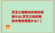 灵芝三萜靶向作用机理是什么(灵芝三萜的靶向作用机理是什么？)
