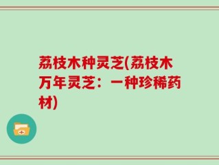 荔枝木种灵芝(荔枝木万年灵芝：一种珍稀药材)