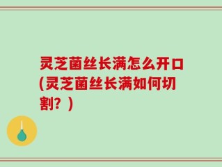 灵芝菌丝长满怎么开口(灵芝菌丝长满如何切割？)