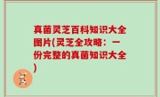 真菌灵芝百科知识大全图片(灵芝全攻略：一份完整的真菌知识大全)
