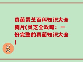 真菌灵芝百科知识大全图片(灵芝全攻略：一份完整的真菌知识大全)