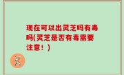 现在可以出灵芝吗有毒吗(灵芝是否有毒需要注意！)