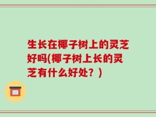 生长在椰子树上的灵芝好吗(椰子树上长的灵芝有什么好处？)