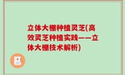 立体大棚种植灵芝(高效灵芝种植实践——立体大棚技术解析)