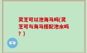 灵芝可以泡海马吗(灵芝可与海马搭配泡水吗？)