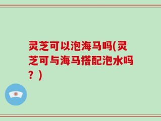 灵芝可以泡海马吗(灵芝可与海马搭配泡水吗？)