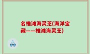 名椎滩海灵芝(海洋宝藏——椎滩海灵芝)