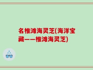 名椎滩海灵芝(海洋宝藏——椎滩海灵芝)