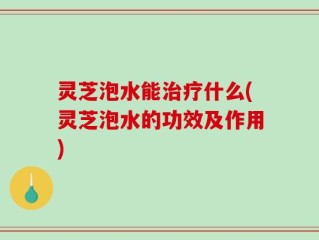 灵芝泡水能治疗什么(灵芝泡水的功效及作用)