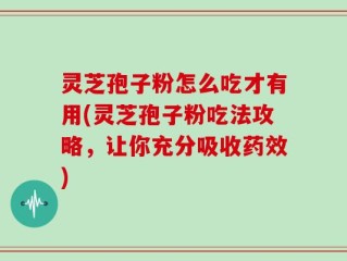 灵芝孢子粉怎么吃才有用(灵芝孢子粉吃法攻略，让你充分吸收药效)