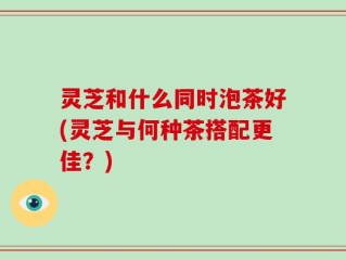 灵芝和什么同时泡茶好(灵芝与何种茶搭配更佳？)