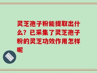灵芝孢子粉能提取出什么？已采集了灵芝孢子粉的灵芝功效作用怎样呢
