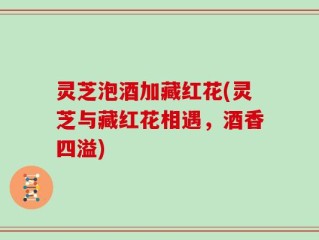 灵芝泡酒加藏红花(灵芝与藏红花相遇，酒香四溢)