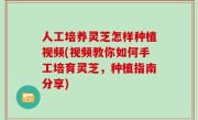 人工培养灵芝怎样种植视频(视频教你如何手工培育灵芝，种植指南分享)