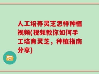 人工培养灵芝怎样种植视频(视频教你如何手工培育灵芝，种植指南分享)