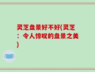 灵芝盘景好不好(灵芝：令人惊叹的盘景之美)
