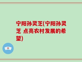 宁阳孙灵芝(宁阳孙灵芝 点亮农村发展的希望)