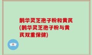 鹊华灵芝孢子粉和黄芪(鹊华灵芝孢子粉与黄芪双重保健)