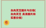 白肉灵芝图片与价格(白肉灵芝 高清图片和实惠价格)