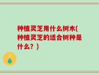 种植灵芝用什么树木(种植灵芝的适合树种是什么？)