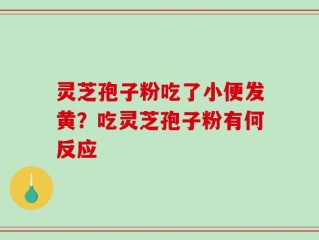 灵芝孢子粉吃了小便发黄？吃灵芝孢子粉有何反应