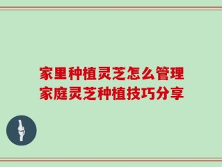 家里种植灵芝怎么管理家庭灵芝种植技巧分享