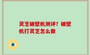 灵芝破壁机测评？破壁机打灵芝怎么做