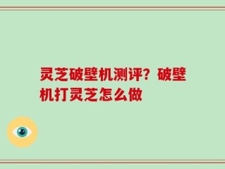 灵芝破壁机测评？破壁机打灵芝怎么做