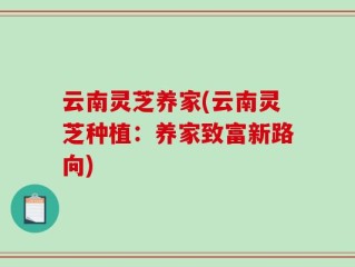 云南灵芝养家(云南灵芝种植：养家致富新路向)