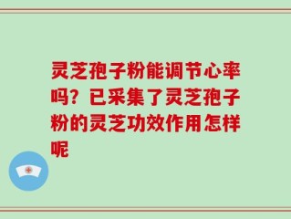 灵芝孢子粉能调节心率吗？已采集了灵芝孢子粉的灵芝功效作用怎样呢