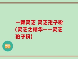 一颗灵芝 灵芝孢子粉(灵芝之精华——灵芝孢子粉)