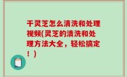 干灵芝怎么清洗和处理视频(灵芝的清洗和处理方法大全，轻松搞定！)