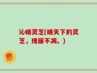 沁晴灵芝(晴天下的灵芝，瑰丽不凋。)