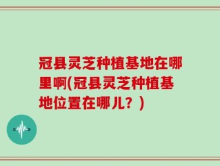 冠县灵芝种植基地在哪里啊(冠县灵芝种植基地位置在哪儿？)