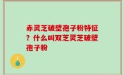 赤灵芝破壁孢子粉特征？什么叫双芝灵芝破壁孢子粉