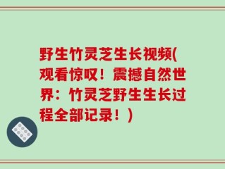 野生竹灵芝生长视频(观看惊叹！震撼自然世界：竹灵芝野生生长过程全部记录！)