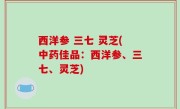 西洋参 三七 灵芝(中药佳品：西洋参、三七、灵芝)